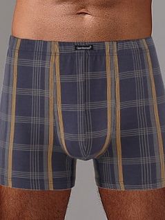 Клетчатые боксеры на тонкой вшивной резинке Gentlemen DTТм7851б Синий